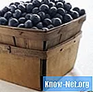 Cara membuat anggur blueberry