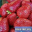 Kuidas teha maasikaveini lühikese aja jooksul
