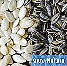 Comment enlever les cosses des graines de citrouille et de tournesol dans votre maison