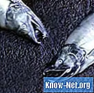 Kako odstraniti luske iz lososa