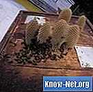 Hur man skiljer honung från vax i en dubbelpanna