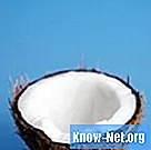 Četri kokosrieksta posmi