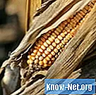 Môže sa kukuričná slama použiť v hnojive? - Život