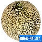 Techniki pozwalające stwierdzić, czy melon kantalupa jest dojrzały