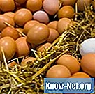 Kruiden en kruiden die goed samengaan met eieren