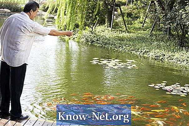 Najbolji način čišćenja zelene vode spremnika s ribom