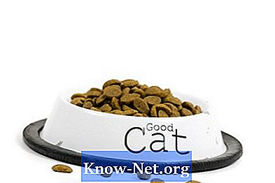 Knoflookpoeder op kattenvoer om vlooien te behandelen