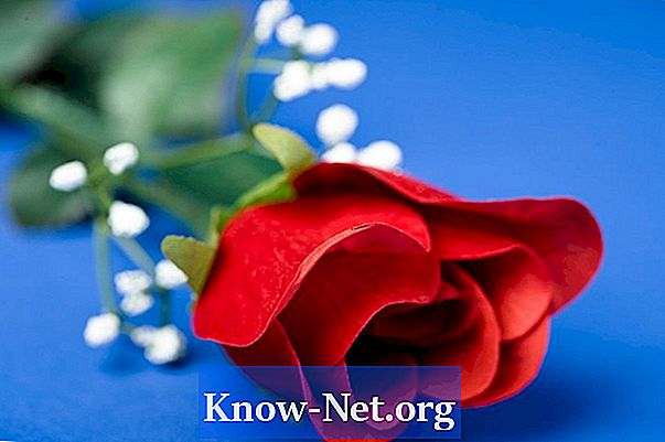 Nevýhody geneticky modifikovaných ruží