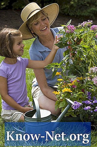 Activités de jardinage et de plantes pour les enfants d'âge préscolaire