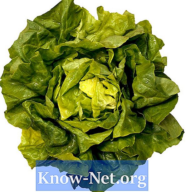 Ernæringsmessige fordeler med bladsalat