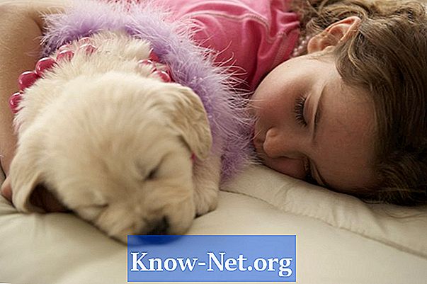 Kako pomagati psičku, ki joka v spanju v postelji