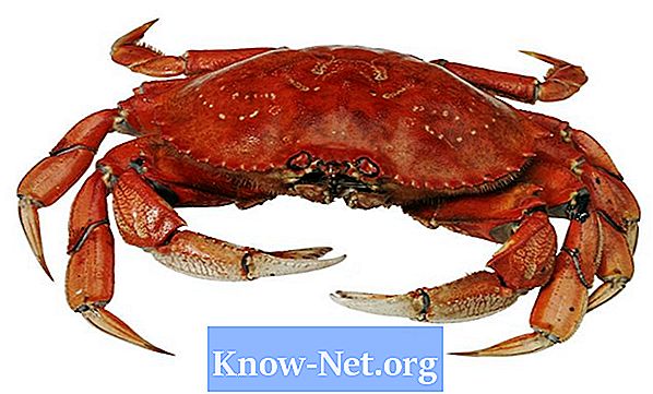 Comment conserver les crabes frais la nuit?