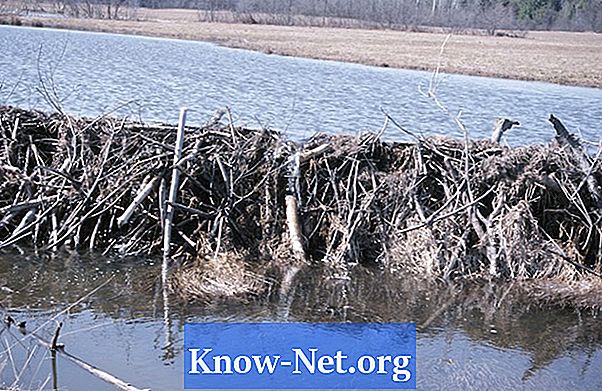 Comment construire un barrage pour un étang en bois - Des Articles
