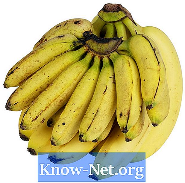 כיצד לטפל עץ בננה מיני