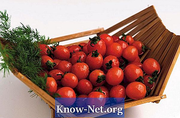 체리 토마토를 재배하는 방법