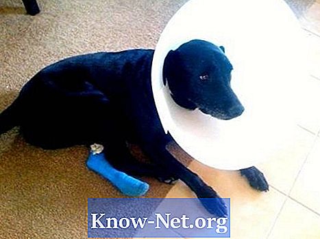 Как да разберете дали едно куче има тумори, кисти или рак