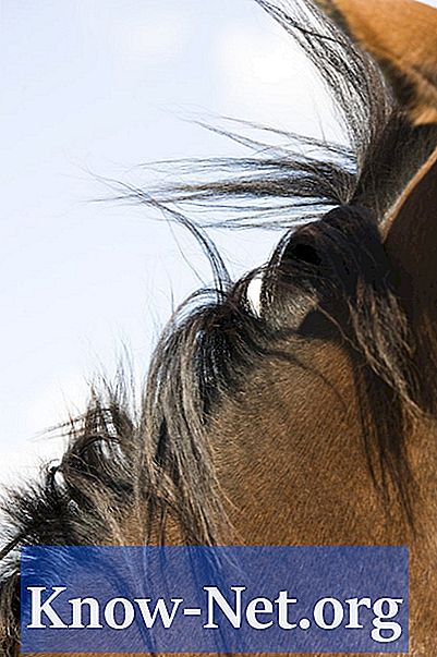 Bagaimana membuat braids pada kuda
