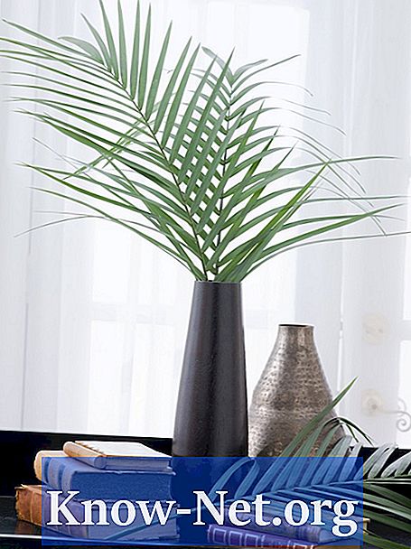 Kaip padaryti rėmo išdėstymą su palmių lapais
