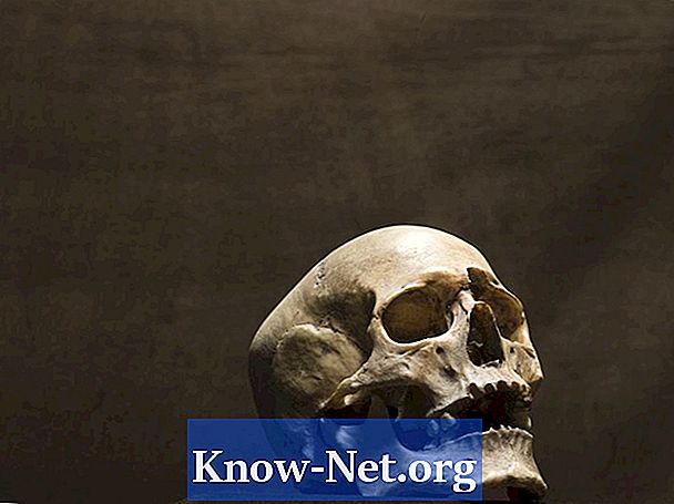 粘土で人間の頭蓋骨を作る方法