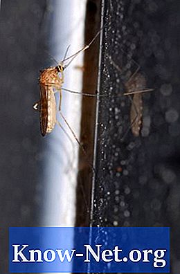 Как да направите естествен инсектицид за комари