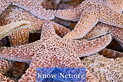 Как да си направим Starfish Crown за русалка фентъзи
