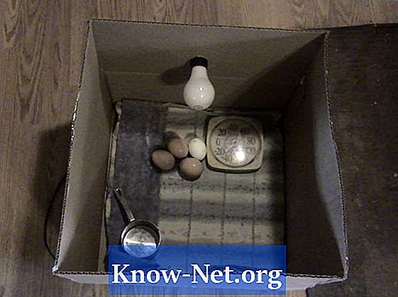 Kaip padaryti naminių paukščių inkubatorių