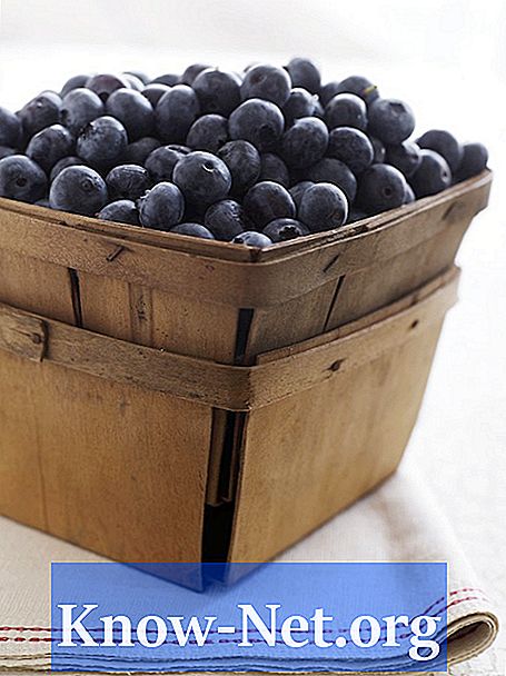 Cara Membuat Anggur Blueberry