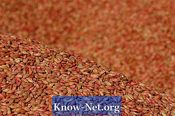 Comment faire germer des grains de blé - Des Articles