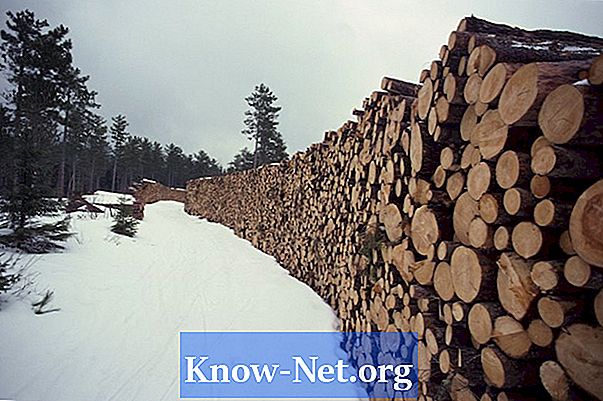 Cum se instalează prize de perete în trunchiuri de lemn - Articole