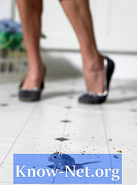 Comment nettoyer les tabourets de souris à la maison