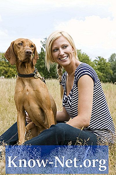 Cum să masați un câine cu picioarele inferioare slabe?