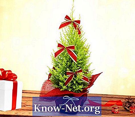 Comment tailler un pin de Noël