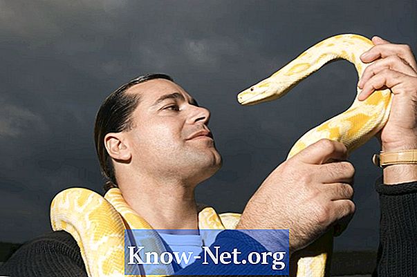 Ako hľadať príznaky ochorenia vo výkaloch hada