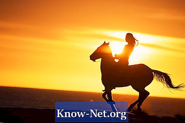 Cum să tratați artrita unui cal în vârstă - Articole
