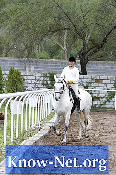 Hur man tränar en hästs mars - Artiklar