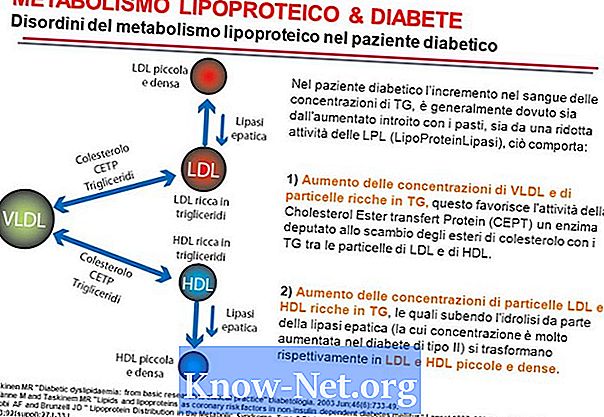 Diabetes og lipid metabolisme