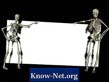 A női és férfi csontvázak közötti különbségek