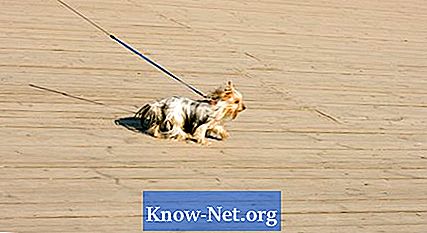 Wskazówki, jak zrobić na drutach płaszcz dla psa - Artykuły