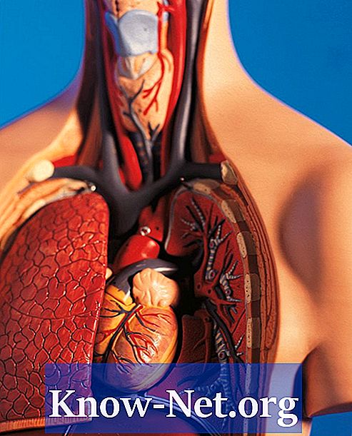 Faktoren, die das Herzminutenvolumen beeinflussen