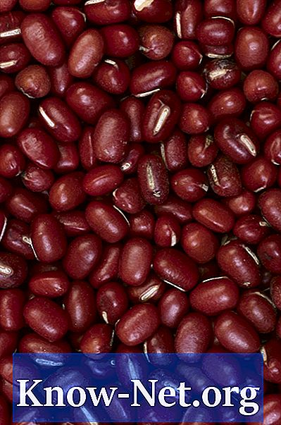 Kacang Azuki: Fakta Gizi