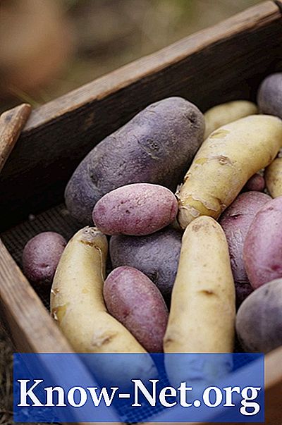 Asterix Potato Nutrition Facts