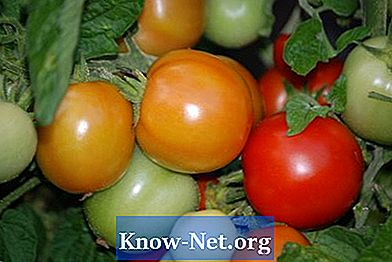 Liste de légumes rouges - Des Articles