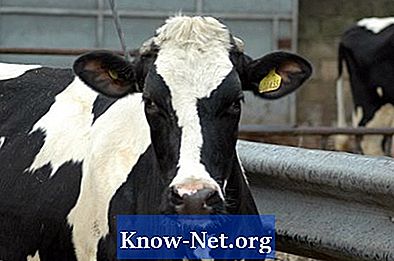 Питательные вещества в коровьем навозе