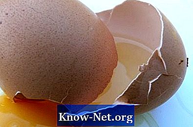 Kaj jajce naredi z lasmi?
