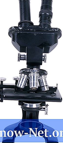 Care sunt lentilele obiective ale unui microscop?