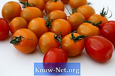 Hranjive tvari potrebne u tlu za uzgoj rajčica