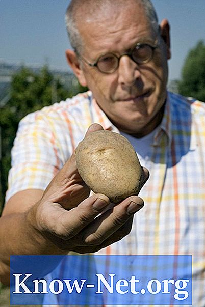Gefahren beim Essen von grünen Kartoffeln