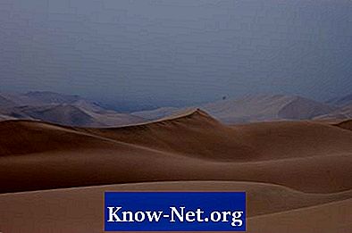 Les plantes qui vivent dans le désert d'Arabie - Des Articles