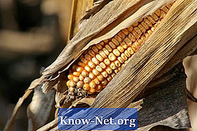 Može li se kukuruzna slama koristiti u gnojivu?