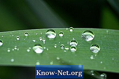 Pourquoi le cycle de l'eau est-il important pour les plantes et les humains? - Des Articles